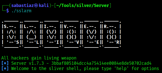 Sliver Server Startup